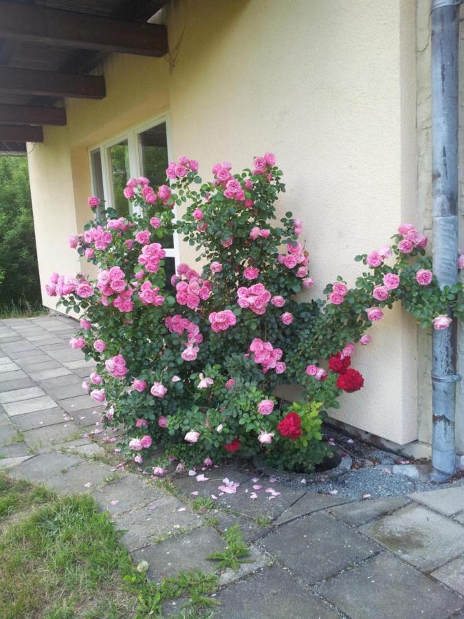 Ferienwohnung Am Spreeradweg Neusalza-Spremberg Exteriér fotografie